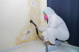 Mold Documentation for Insurance Claims in Lake Geneva, WI